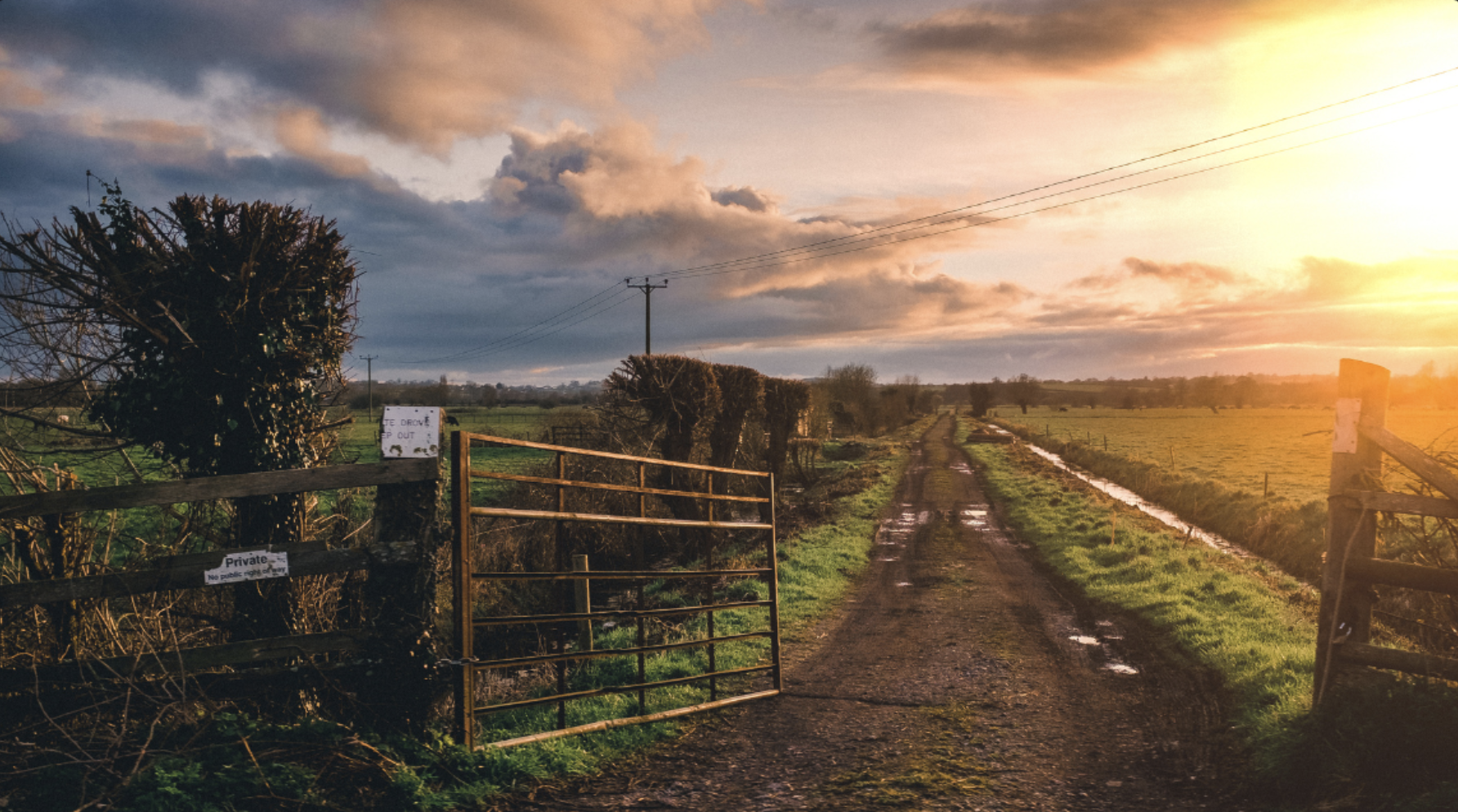 A farm gate at sunset on a working UK farm